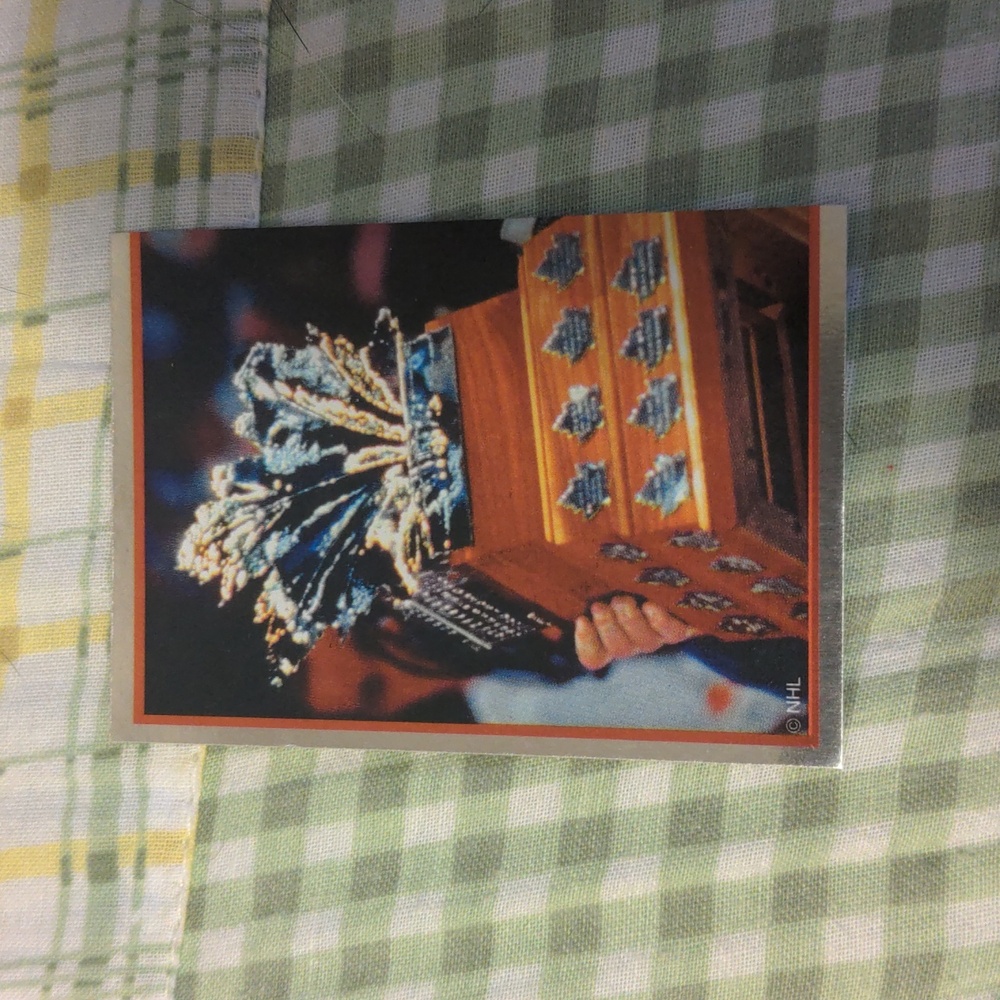 10 for $20 #1 Panini NHL Hockey Sticker
